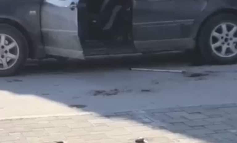 Tuča dvojice Novopazaraca (video)