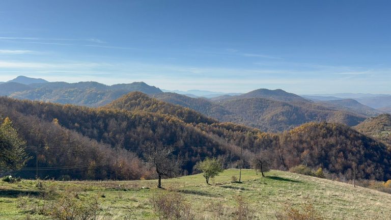 Iskopavanje na Rogozni ipak opasno?! Tužilaštvo reagovalo